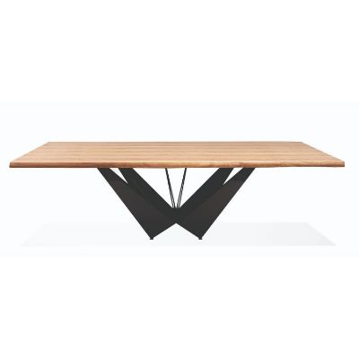 Masa dining fixa 220 cm natur/negru Solid