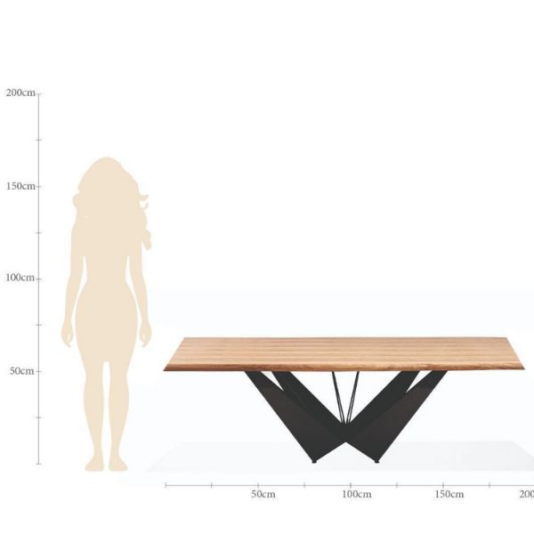 Masa dining fixa 260 cm natur/negru Solid