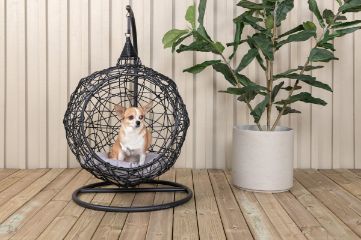 Imagine Lexi Hanging chair- Black frame/black wicker/grey cushion