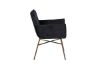 Imagine Petra Chair - Distressed Copper / Black Velvet