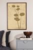 Imagine Poster - Flower art - 50x70