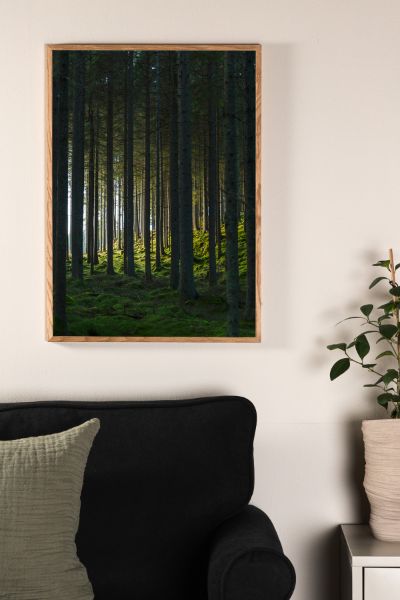 Imagine Poster - Woods - 50x70