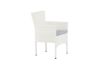 Imagine Malina Diningchair 2-pack Alumnium - White / Wicker