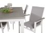 Imagine Albany Dining Table 160/240*100 - White Alu / Grey Aintwood+Parma Arm Chair (sta