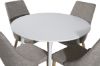 Imagine Masa rotunda Plaza 100 cm - Top alb / Picioare albe + Leone - Scaun de dining - Stejar/Gri deschis_4