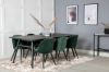 Imagine Masa de extensie eleganta neagra periat - 195 * 95+scaun de dining- catifea verde/negru_6