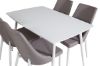 Imagine Masa de dining Polar 120 cm - Alb Alb + Leone 2.0 Gri Polar - Picioare albe _4