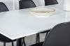 Imagine Masa de dining Polar - 180*90*H75 - Alb / Negru+Șezută de dining din plastic Polar - Picioare negre / Plastic negru_6