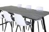 Imagine Masa de dining Estelle 200*90*H76 - Negru / Scaun de dining din plastic Polar - Picioare negre / Plastic alb_6