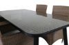 Imagine Masa de dining Paola - Otel negru / Rattan natural - 200*100+ Scaun de brate Malin - Natur/Sand_6