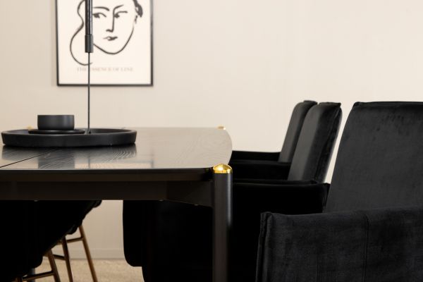 Imagine Pelle Dining Table , Black black Black+Petra Chair , Distressed Copper Black Velvet_6