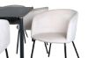 Imagine Masa de dining Pelle - Negru / negru Black+Berit Scaun - Negru / Bej Catifea_6