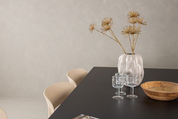 Imagine Masa de dining Vail - Negru / Negru fumuriu MDF + Scaun de dining Åstol - Compus din lemn plastic natur _6