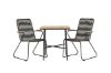 Imagine Holmbeck Cafetable Steel - Negru / Rectangular 55*70*74 + Scaun de Dining Bois Steel - Negru / Poliester Gri închis _2