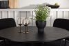 Imagine Masa de dining Olivia - Negru / Furnir de nuc + Scaun de dining Yesterday - Negru / Boucle negru _4