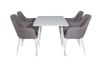 Imagine Masa de dining Polar de 120 cm - Alb Alb + Set 2 scaune Comfort Gri Polar - Picioare albe