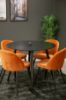 Imagine Plaza Runt Matbord - Svart / Svart - ø100*H75 +Velvet Dining Chair - Orange / Black _4