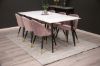 Imagine Masa de dining Polar - Negru / Alb - 180*90*H75+Velvet Brass Roz Praful/6