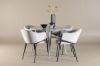 Imagine Plaza Dining Table with Evelina Dining Chair