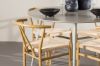 Imagine Plaza Dining Table with Alfons Dining Chair