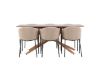 Imagine Piazza Dining Table with Evelina Dining Chair