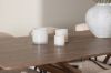 Imagine Piazza Dining Table with Evelina Dining Chair