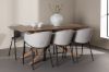 Imagine Piazza Dining Table with Evelina Dining Chair