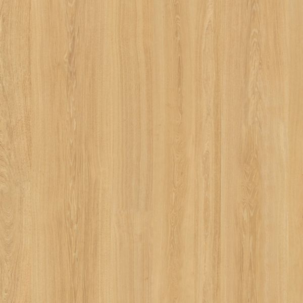 Biblioteca mare stejar natur Amore