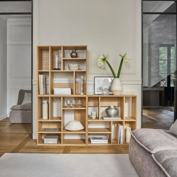 modul biblioteca asimetrica